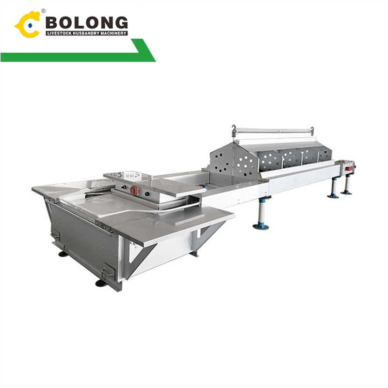 <h3>Automatic Egg Collection System | Customized Design </h3>
